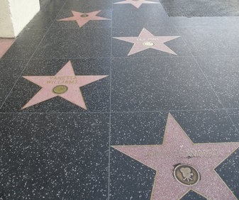 A star on Hollywood hall of frame.